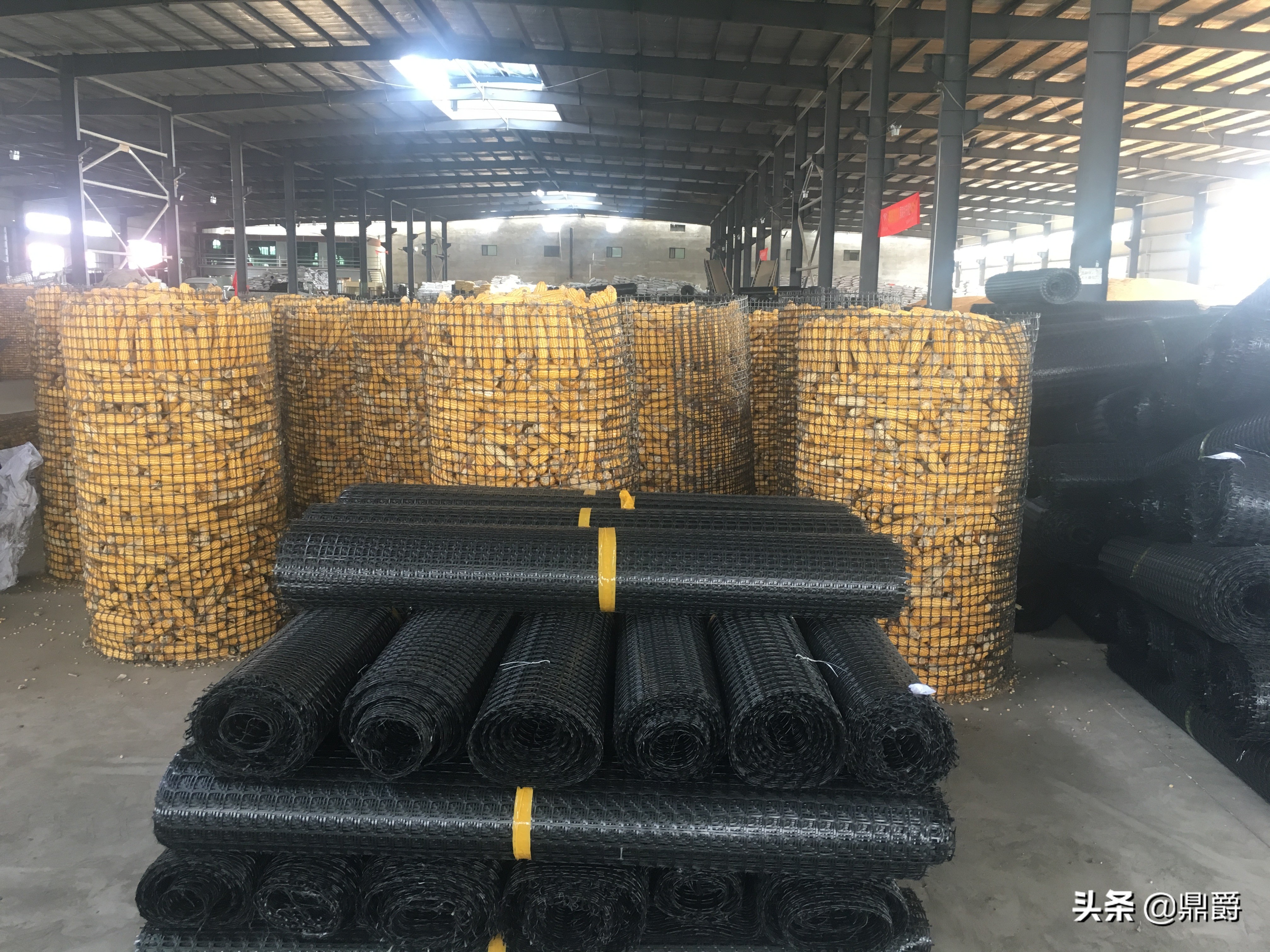 圈玉米网,特厚圈玉米专用网