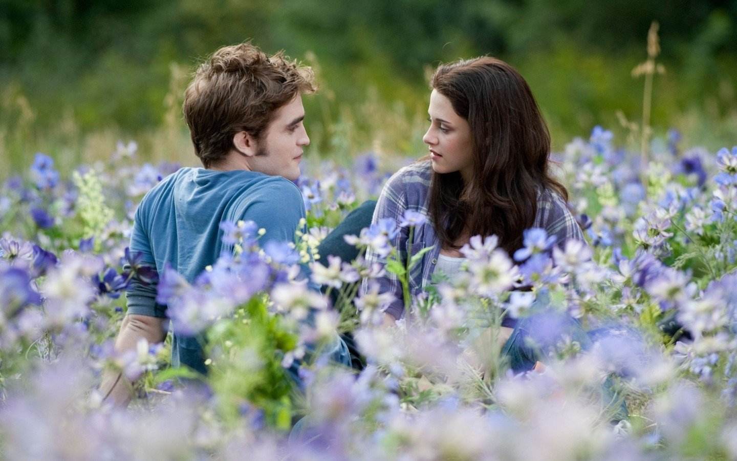 刘墉之子刘轩书籍,刘墉之子刘轩简介