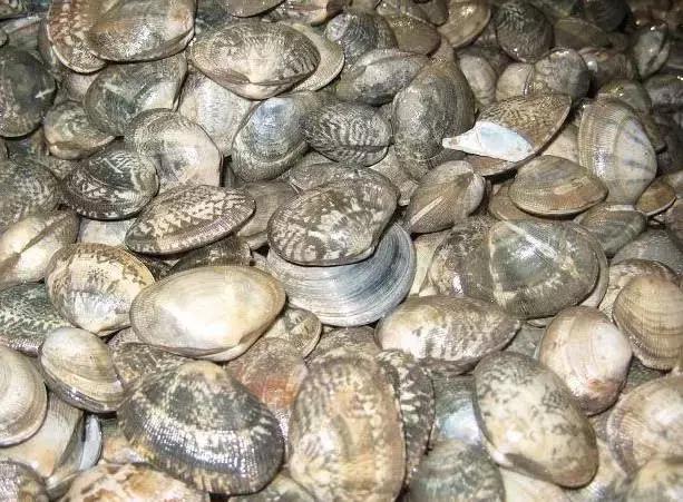 防城港怎么吃海鲜便宜不被坑,防城港干货海鲜有哪些