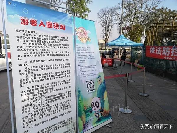 泸州四季花海开放了吗现在,泸州3月赏花胜地心花怒放在哪