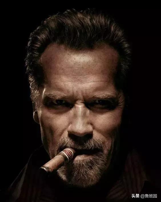 普通雪茄和高级雪茄,普通杉木和香杉木的区别