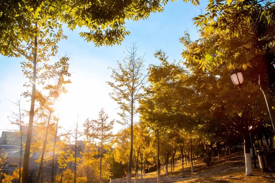 辽宁大连民办大学,大连辽宁二本大学