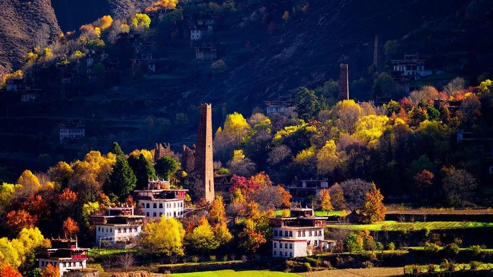 1011月错过它们,等于错过整个秋天!人少清净,随手一拍都是大片