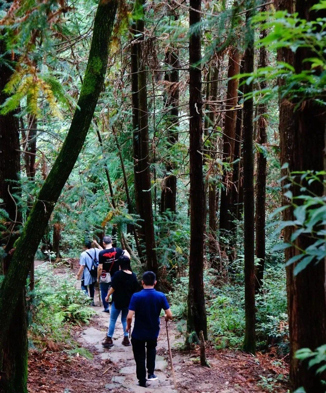 国庆成都周边旅游攻略推荐,成都周边旅游国庆2-3天推荐地方