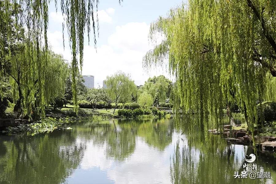 宁波镇明路,宁波第一街