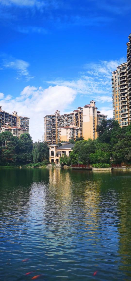 东骏湖景湾,东骏湖景湾209平