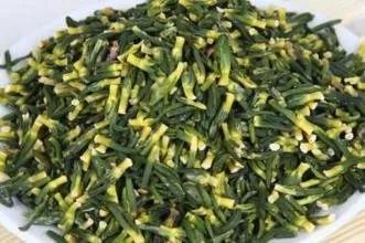 莲心加啥清心火,清心火莲心好还是黄连好