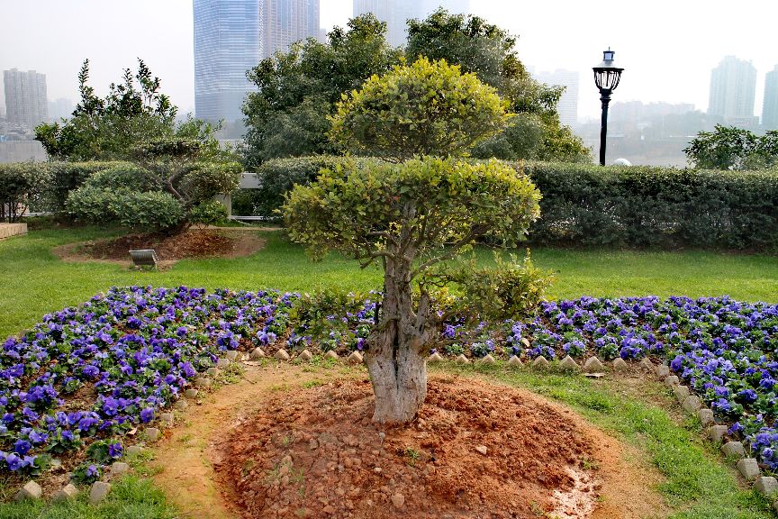 湖南长沙自驾一日游景点大全,长沙攻略五日游必去景点推荐