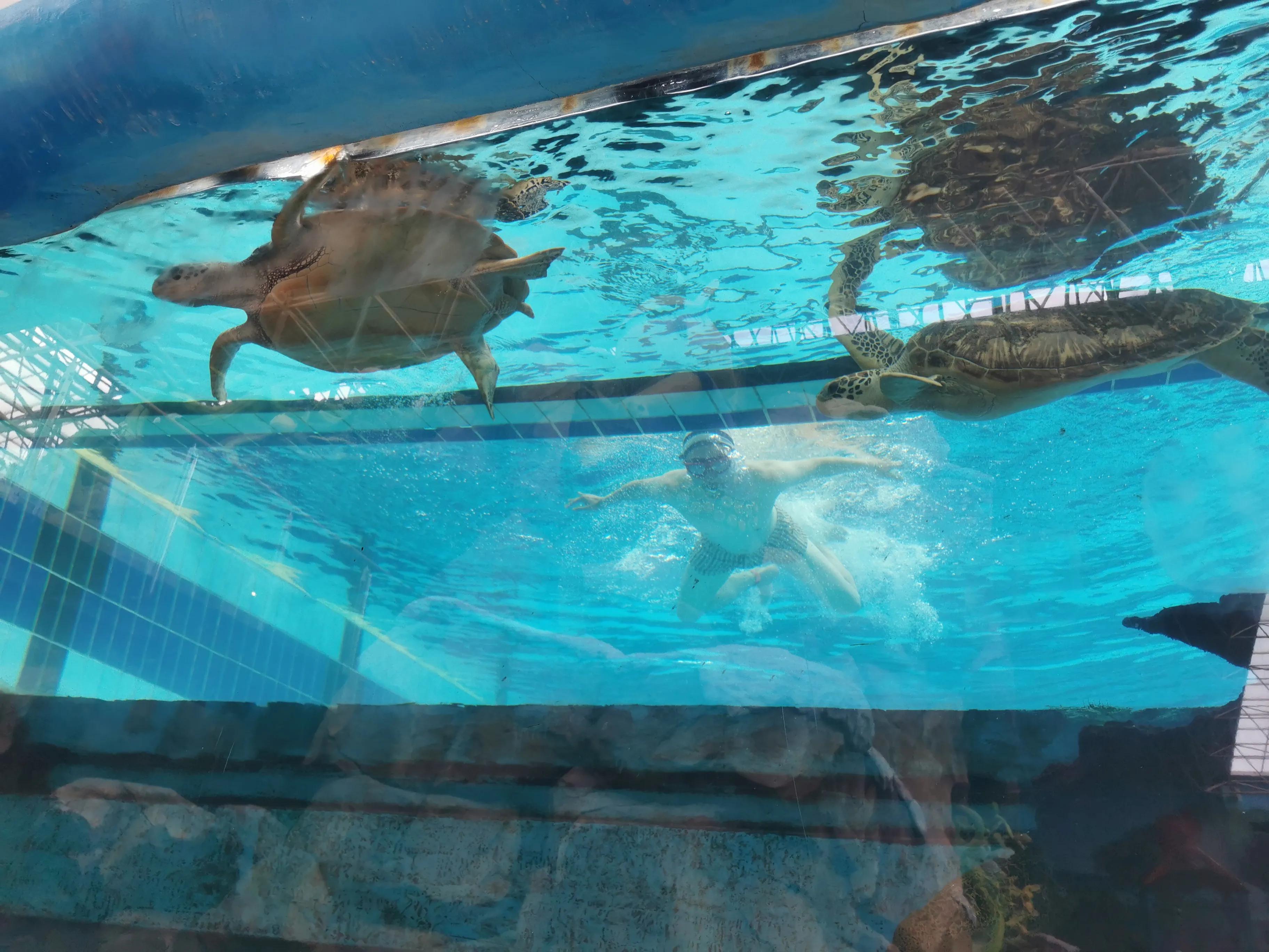 鲅鱼圈魔法温泉公园门票多少钱,鲅鱼圈泡温泉地方推荐