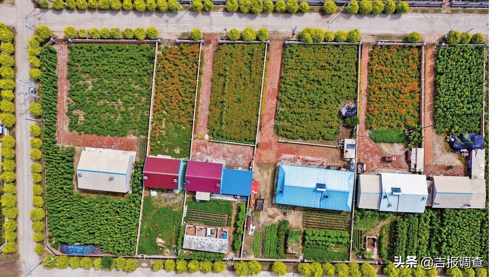 有图有真相的攻略,有图有真相逆战