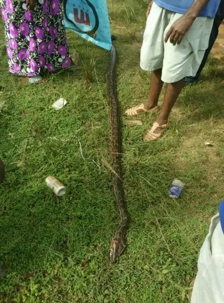 带你去赤道看海,赤道几内亚国家地图