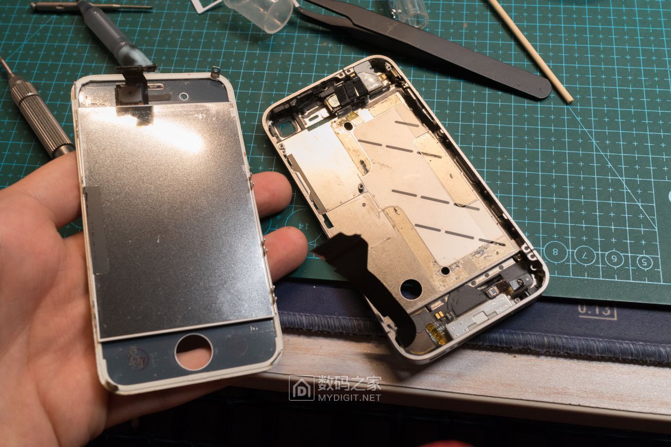 把未拆封的iphone4做成标本,iphone4被做成标本