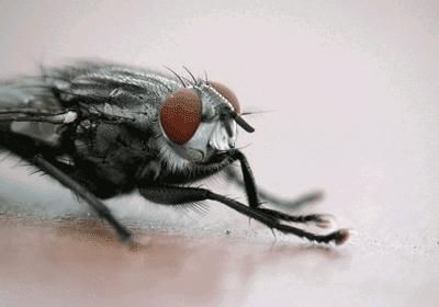 坐过山车抖落肾结石,坐过山车排出肾结石