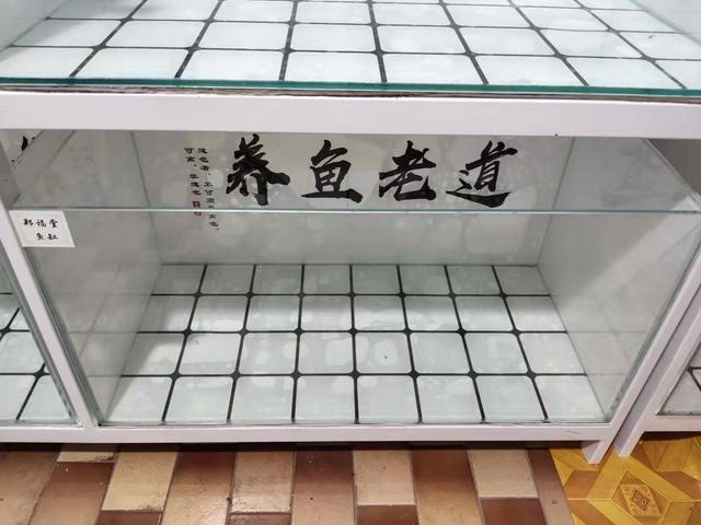 鱼缸接二连三死鱼要不要翻缸,鱼缸里鱼时不时死一条