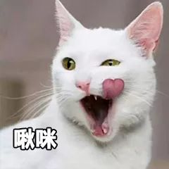 干皮抗初老用什么护肤品最好,适合混干皮的抗氧化护肤品