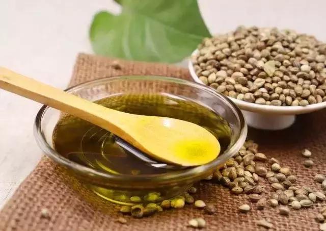 巴马老人天天吃火麻仁,巴马火麻长寿秘密