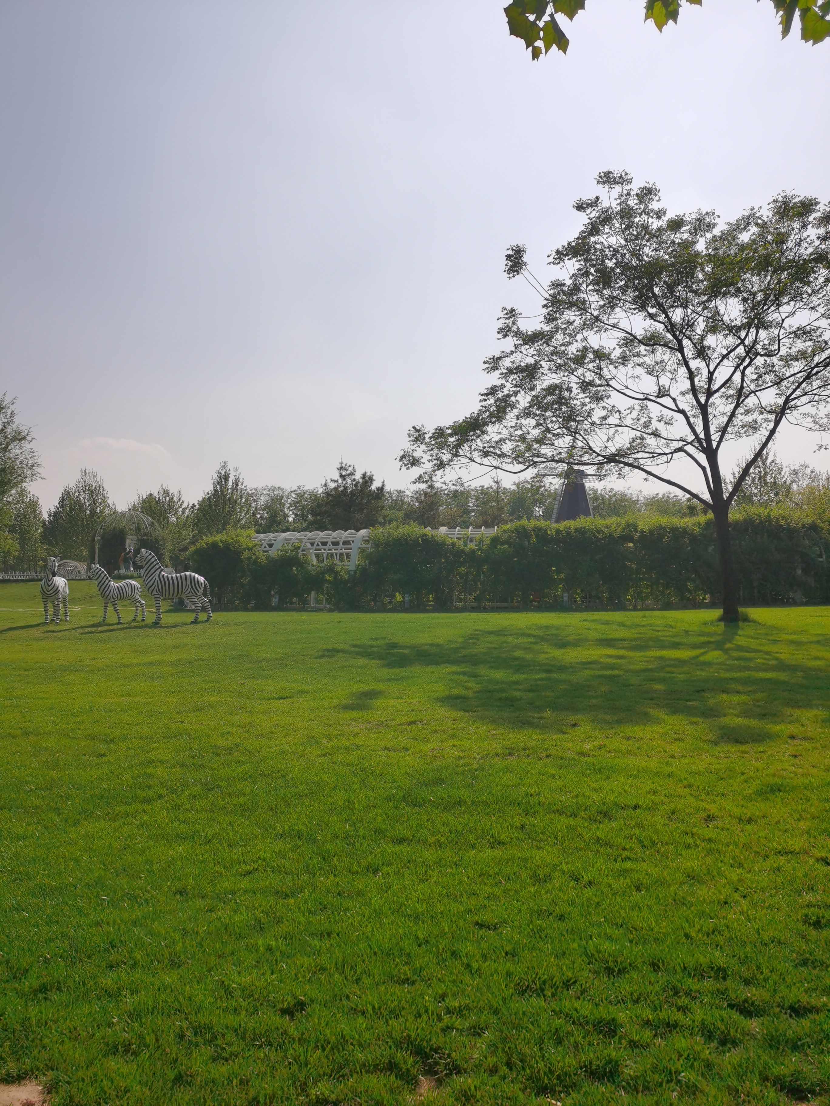 5.1免费公园遛娃好去处,网友推荐郑州树木园游玩好去处