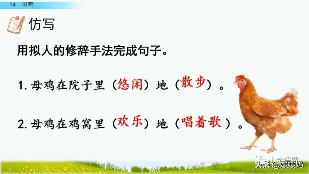 四年级下册第13课小练笔仿写母鸡,四年级下册14课母鸡的预习完整版