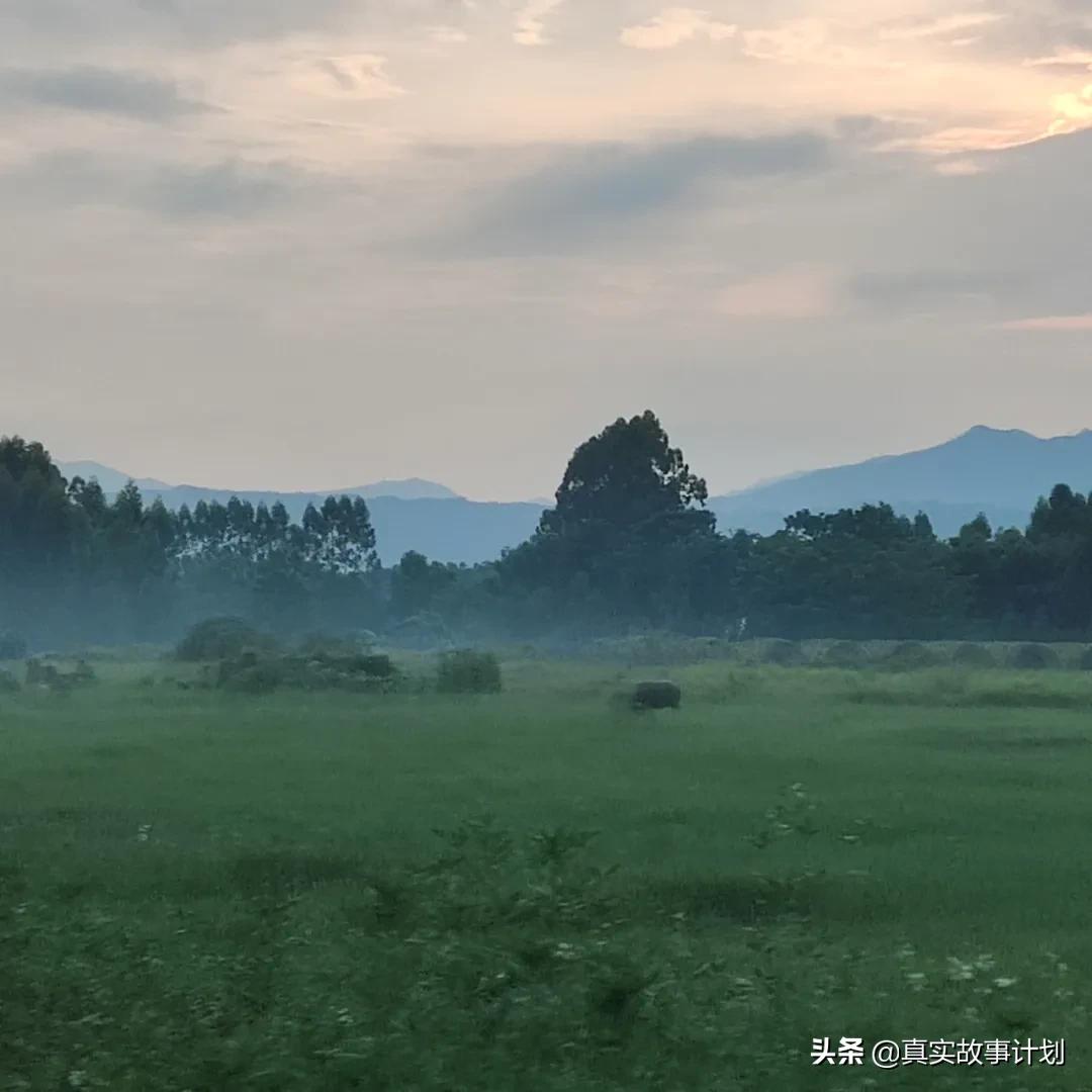 弃养女孩长大后续,弃养女婴后续