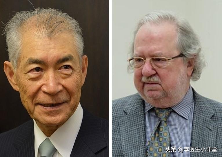 什么是免疫治癌,什么是癌症免疫治疗和生物治疗