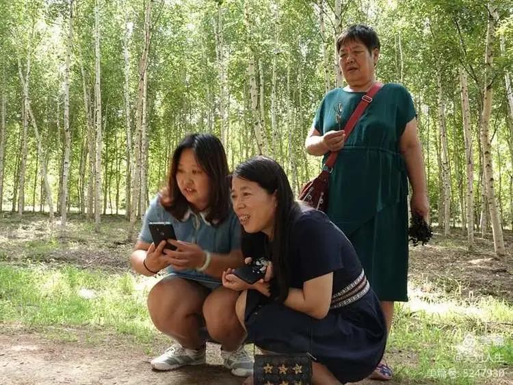 金蝉什么时间退壳,金蝉怎么延迟脱壳