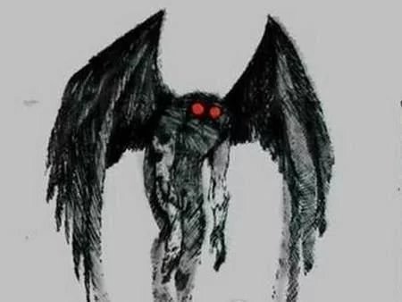 十大未知生物录像,地球十大巨型未知生物