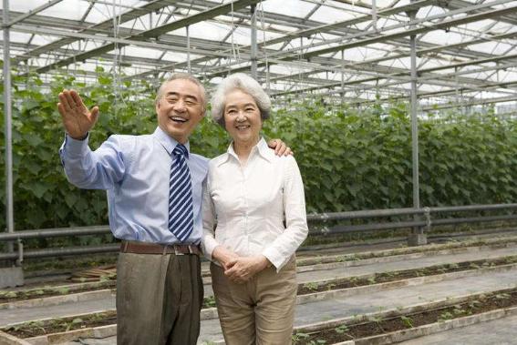 夫妻之间年龄差距4.6岁相克吗,夫妻之间最佳年龄差是多少合适