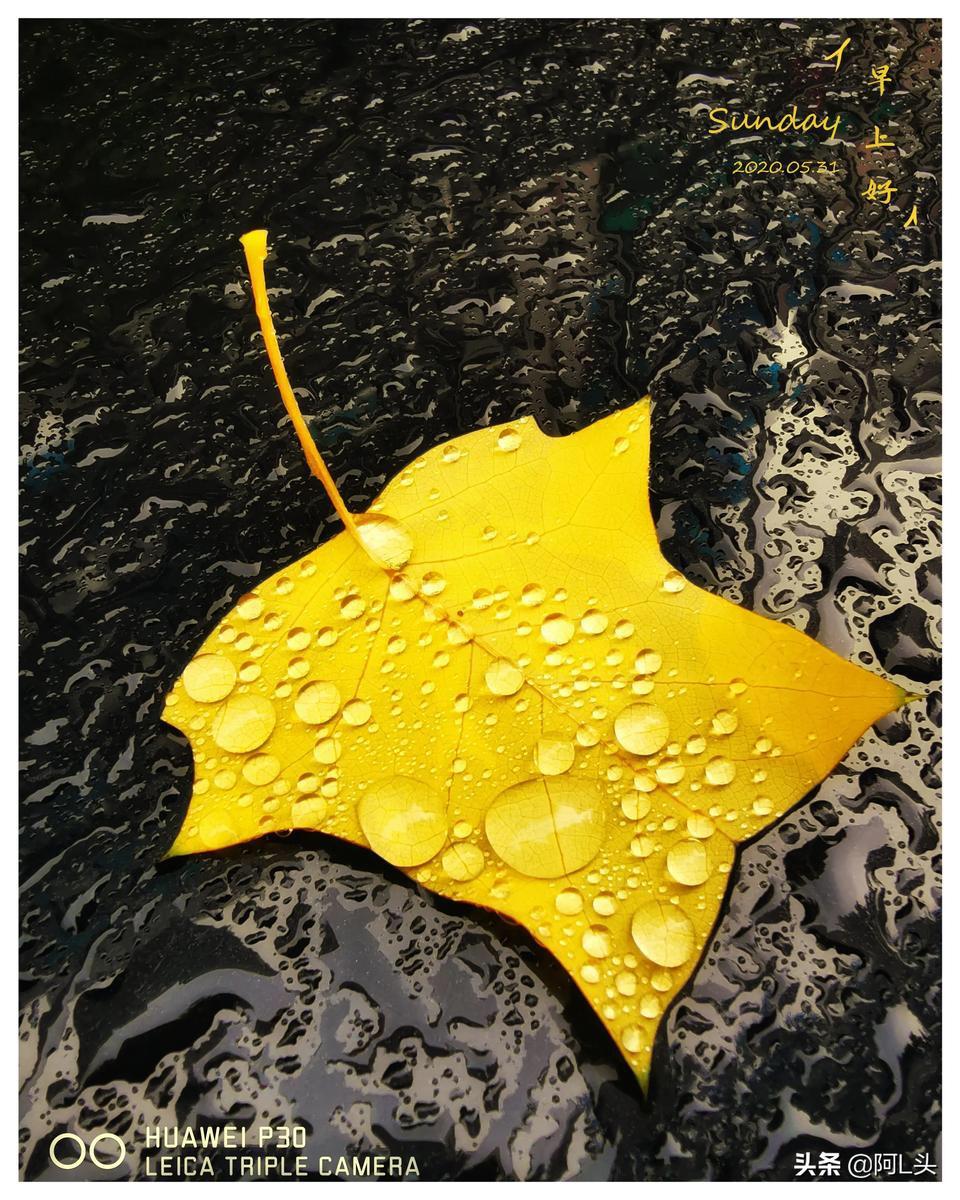 手机如何拍出好看的照片静物,如何拍出好看的朋友圈照片