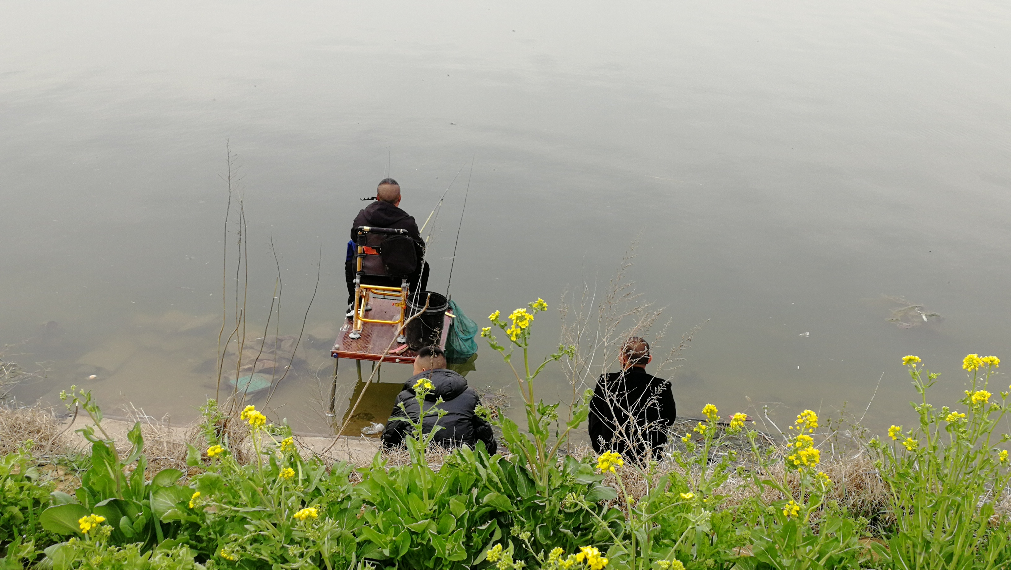 钓麦穗鱼的另类钓法,钓鲫鱼怎么规避麦穗鱼