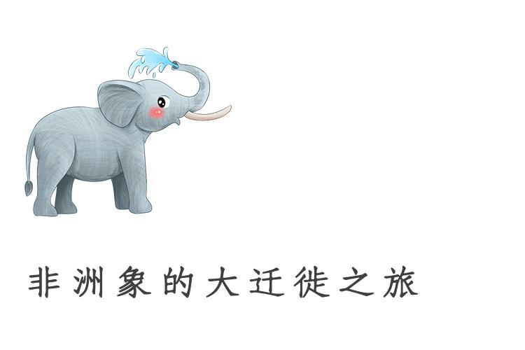 有些幸福的大象“躺平”了，而有些大象一直“在路上”！