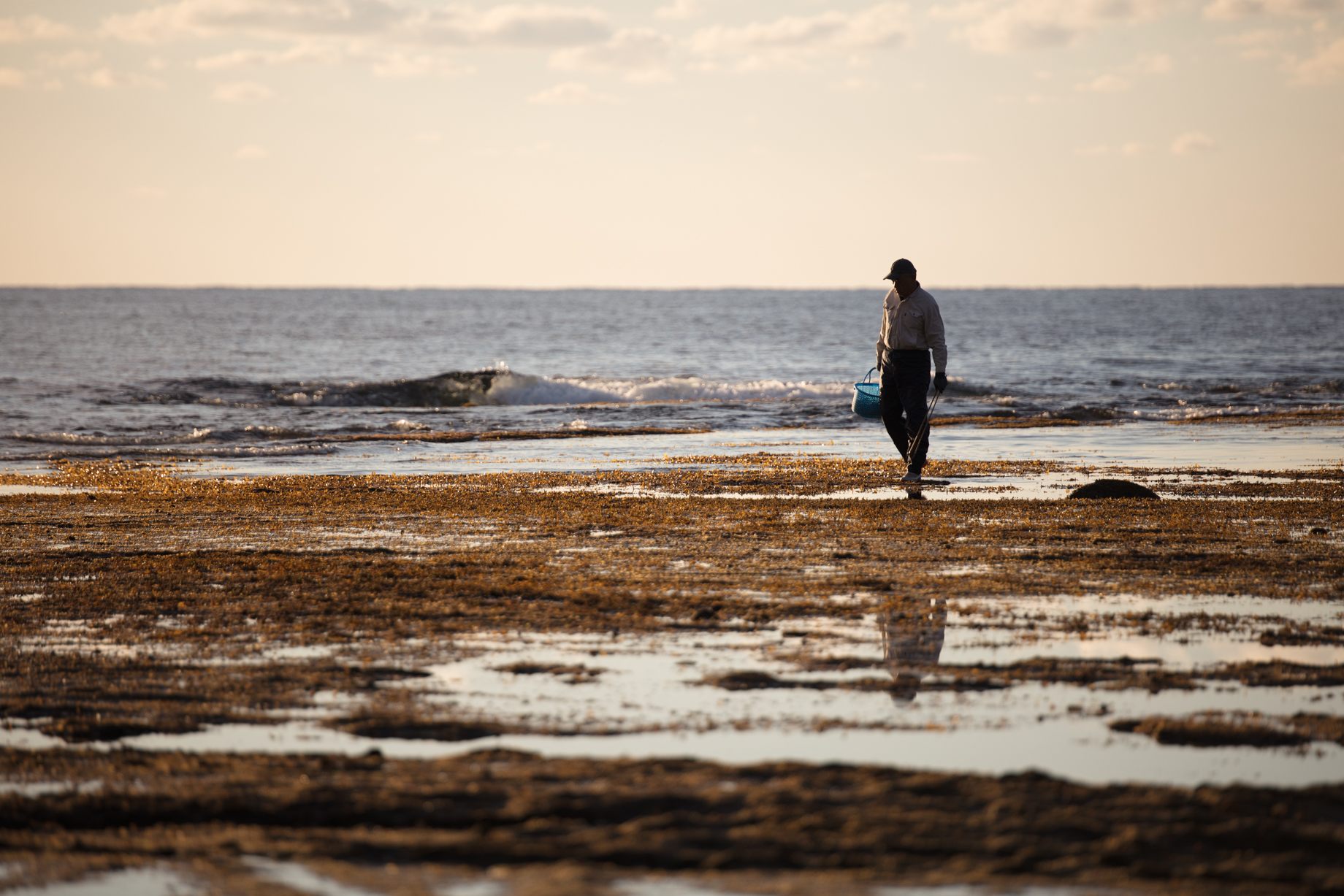 价格便宜的媲美大三元的镜头,大三元镜头谁值得购买