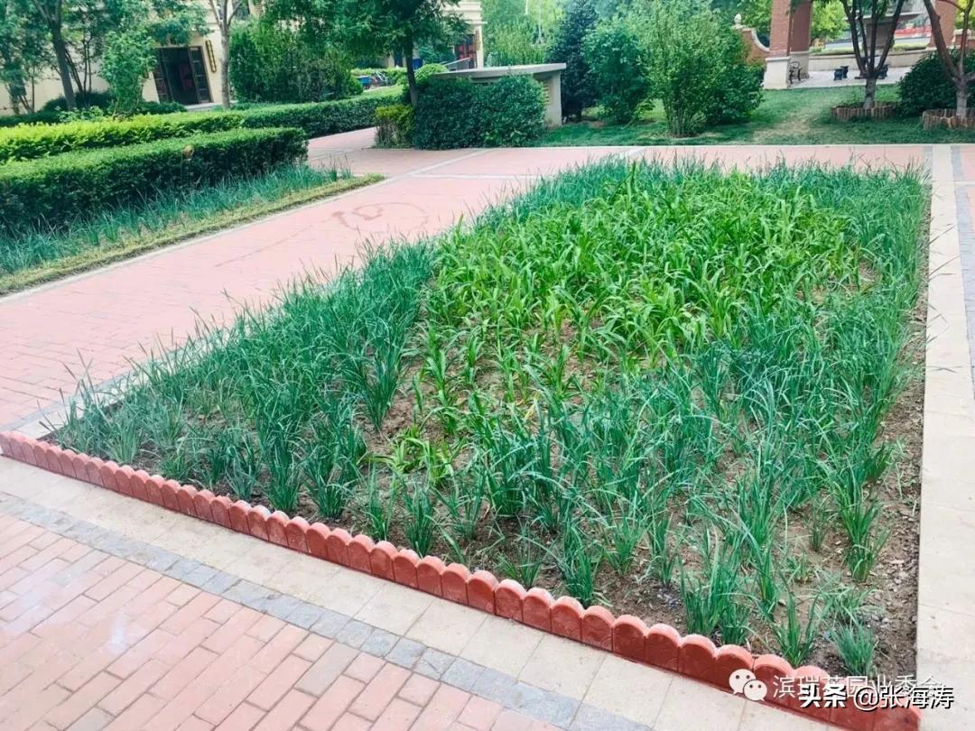 滨瑞花园业委会对星河物业滨瑞花园团队阶段工作的表扬