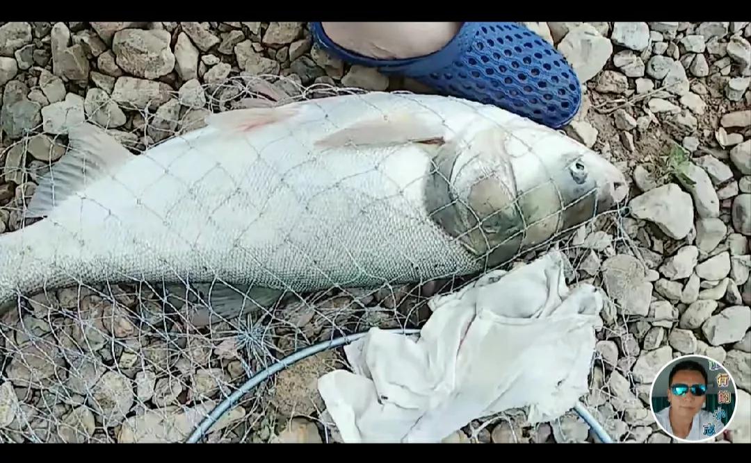 钓大鱼的技巧与口诀大全,野钓大实话