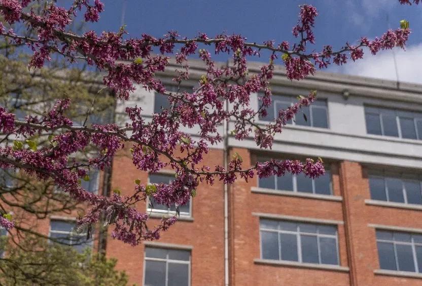 安徽合肥大学二本院校,安徽二本高校