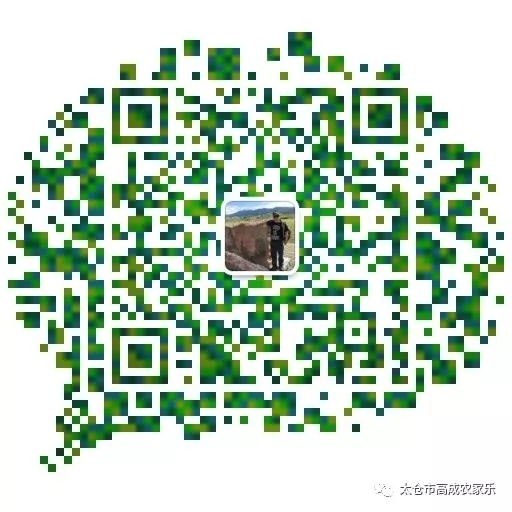 太仓浏河镇农家乐,苏州太仓高成农家乐