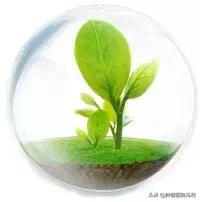 乳腺癌后期痛疼用什么中药治疗,乳腺癌咳嗽痰多