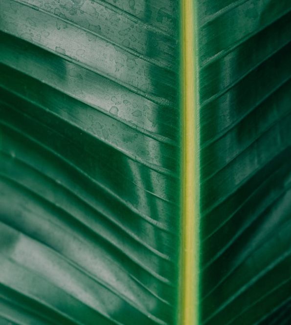 摄影抽象美学,抽象创意摄影作品欣赏