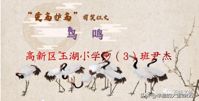 鏄嗗北楂樻柊鐜夋箹灏忓,鏄嗗北甯傞珮鏂板尯鐜夋箹灏忓