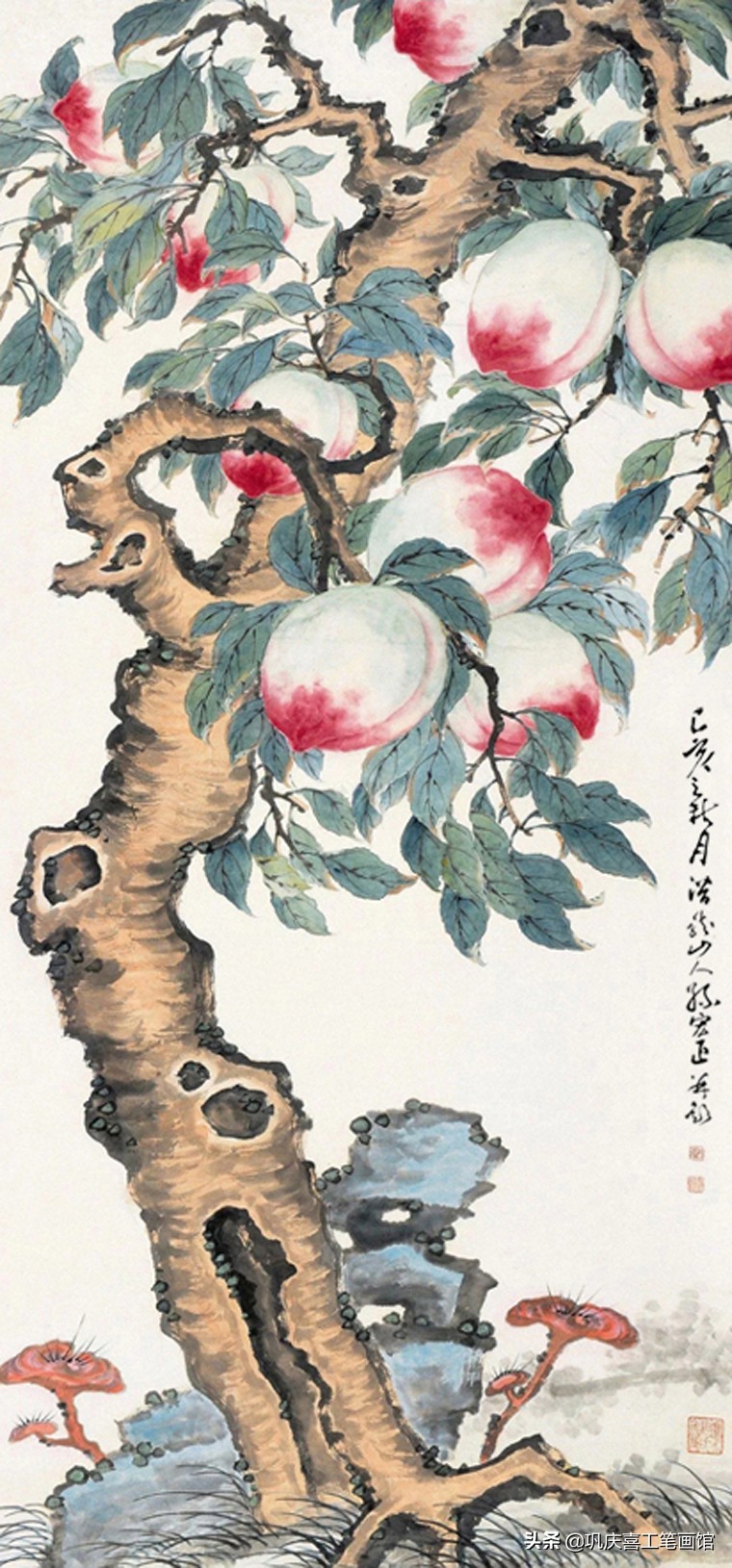 祝寿寿桃图片大全,寿桃祝寿图