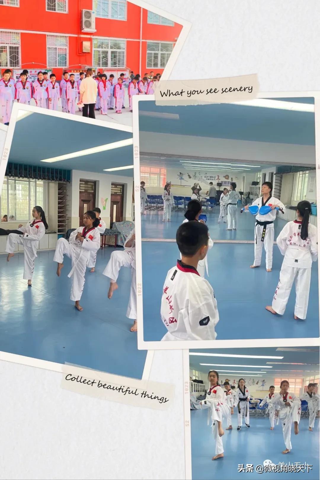 信阳铭扬跆拳道,信阳铭扬武道馆