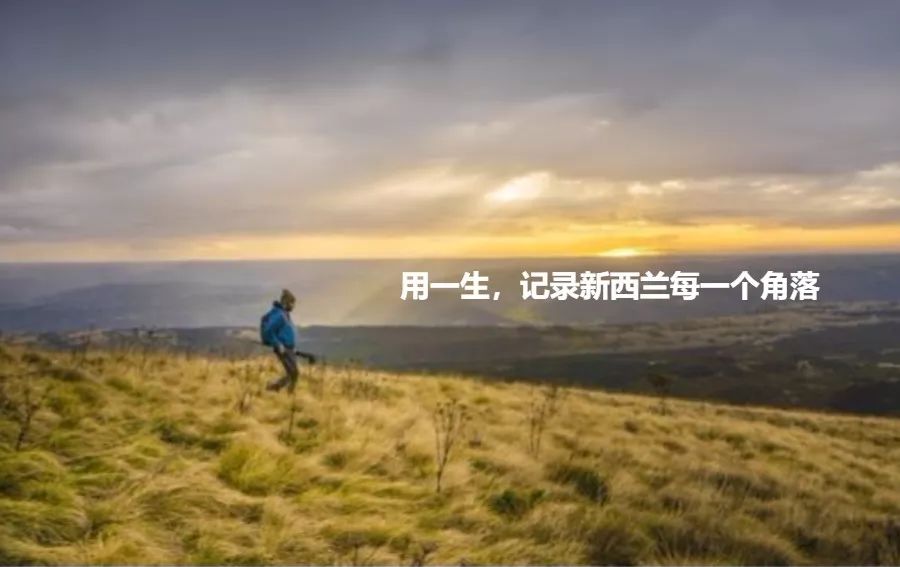 新西兰跑滴滴怎么样了,滴滴打车在新西兰能用吗