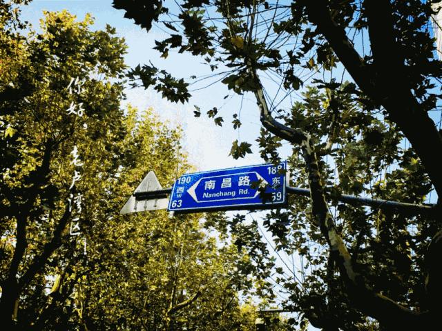 老上海的卢湾区,老上海人回忆卢湾区