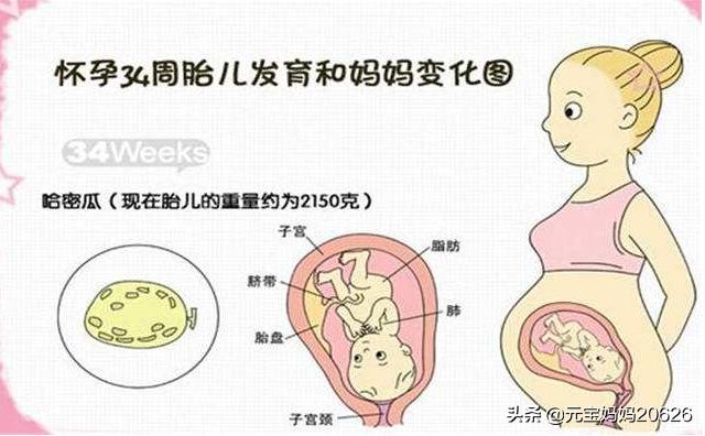 孕33周宝宝发育妈妈变化注意事项,孕34周胎儿发育标准大概有几斤
