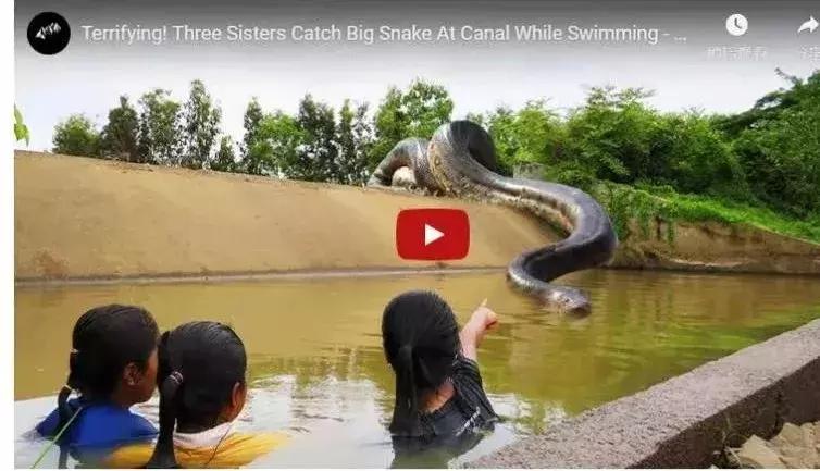 男版李子柒火了,李子柒做原始烤炉视频