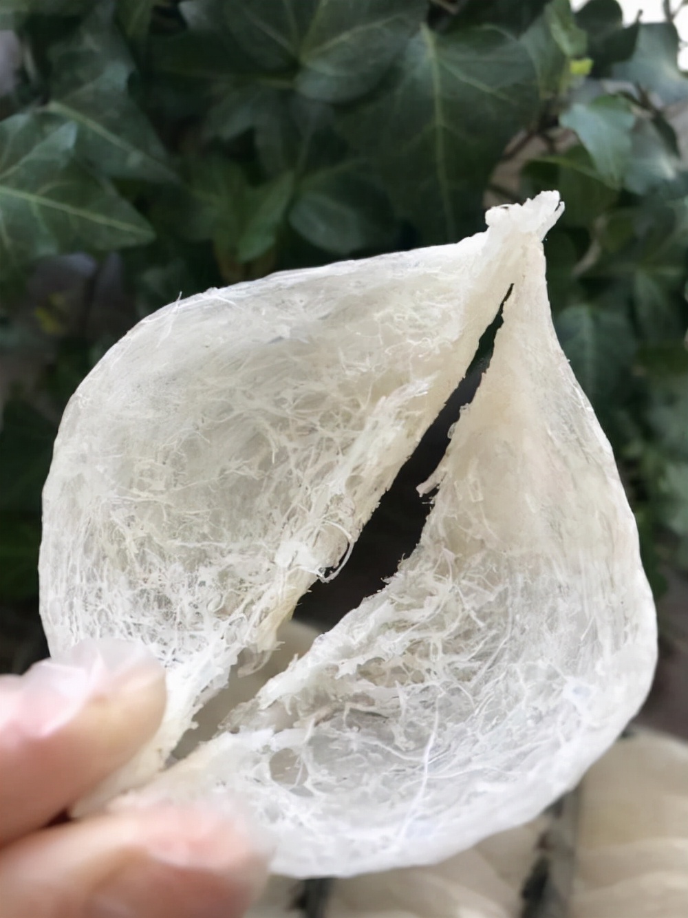 燕窝怎么看有没有霉变,燕窝到货评价