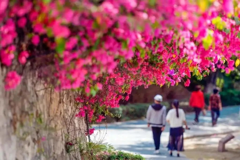 天津主题公园开放时间,天津航母主题公园现在还开放吗