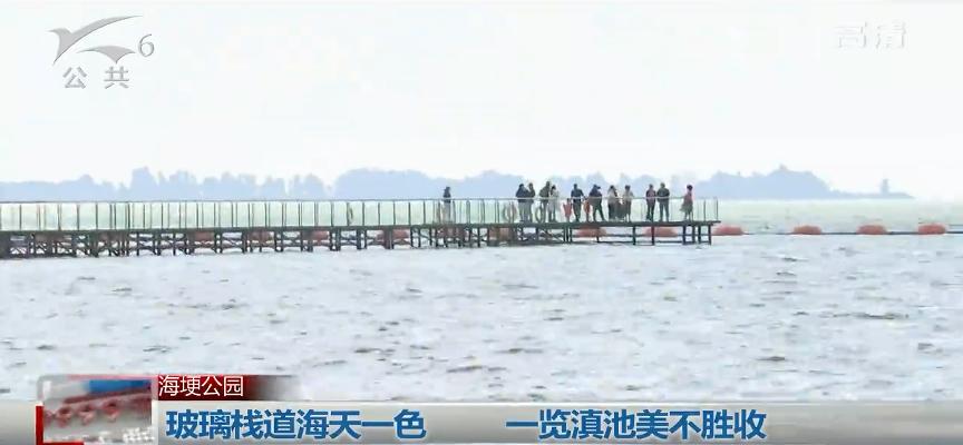 玻璃栈道昆明海埂公园新景点,云南滇池海埂公园玻璃栈道在哪里