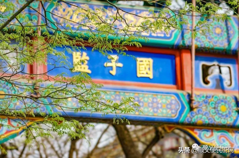 顺义区免费景点排行榜冬天,顺义最良心的八大免费景点