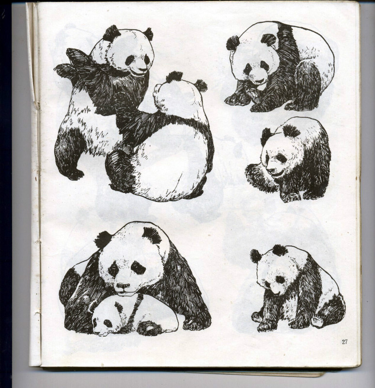 一百幅动物素描,近百幅动物画