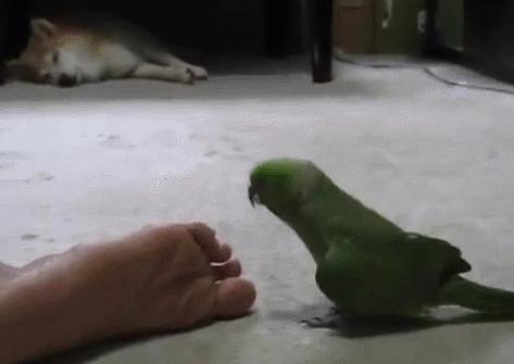 天热有脚气怎么去除脚臭,顽固脚气脚癣怎么根治